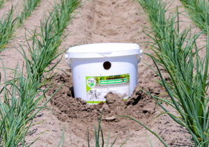 Trips beheersysteem uitzetmogelijkheden