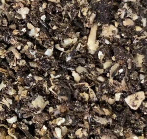 Waarom wordt trips bestrijden steeds moeilijker?